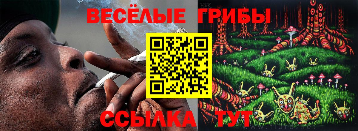 Саранск  Псилоцибиновые грибы ЛСД  Вход с VPN  Псилоцибиновые грибы ЛСД 
